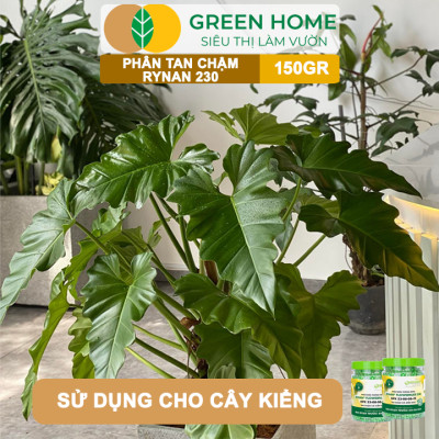 Phân tan chậm Rynan 230, chai 150gr, chuyên kiểng lá, dưỡng lá xanh, sinh trưởng khoẻ |Greenhome