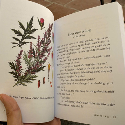 (In màu) CỎ CÂY HOA LÁ – Hường Nguyễn, Như Anh Nguyễn – Nhã Nam – NXB Hội nhà văn