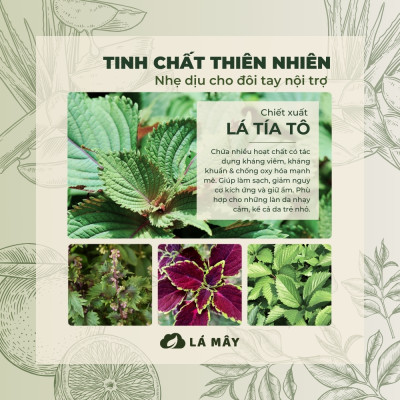 NƯỚC RỬA CHÉN BÁT (KHÔNG ĐẬM ĐẶC) TÍA TÔ & ANH ĐÀO LÁ MÂY 500 mL