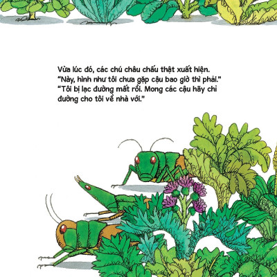 Tủ Sách Nuôi Dưỡng Tâm Hồn - Con Châu Chấu Đồ Chơi