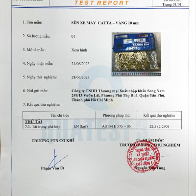 Sên Vàng 10 Ly 132 Mắt cho Sirius, Winner, Exciter, Raider, Satria, Jupiter, Wave, Future – Nhông Sên Dĩa CATTA Chất Lượng Cao