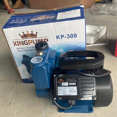 MÁY BƠM NƯƠC TỰ MỒI 300W KINGPUMP KP-300 - HÀNG CHÍNH HÃNG