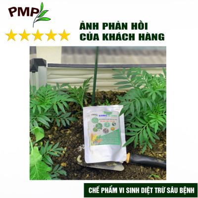Combo Biomic Vi Sinh & Giấm Gỗ APY Cho Hoa Hồng, Rau Sạch, Cây Cảnh
