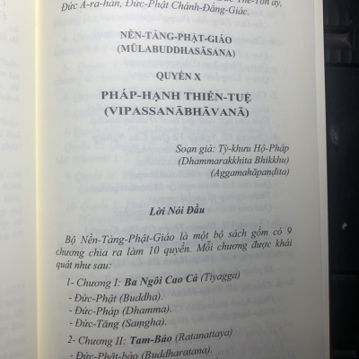 Pháp - Hành Thiền - Tuệ  (Nền tảng Phật giáo quyển X)