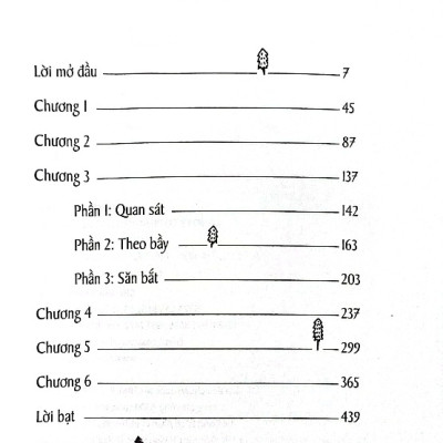 Đường Mòn Muôn Nẻo - HH