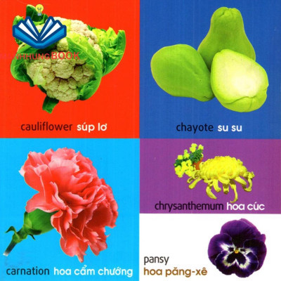 Sách: 101 Từ Đầu Tiên - Thực Vật (TB)