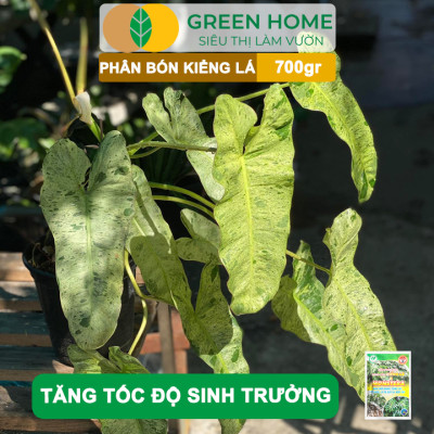 Phân Bón Cây Kiểng Lá Greenhome, Bao 700gr, Trầu Bà Monstera, Cây Nội Thất, Giúp Đâm Chồi Mạnh, Rễ Khoẻ, Lá To