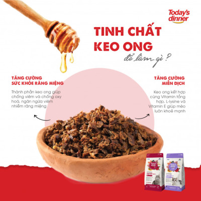 [1KG ] - Thức ăn hạt cho mèo nhỏ TODAY