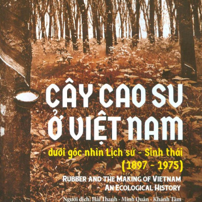 Cây Cao Su Ở Việt Nam Dưới Góc Nhìn Lịch Sử - Sinh Thái (1897-1975)