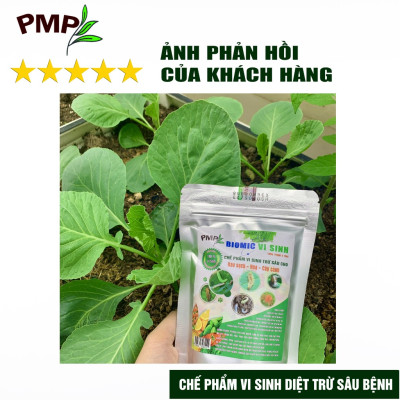 Combo Biomic Vi Sinh & Giấm Gỗ APY Cho Hoa Hồng, Rau Sạch, Cây Cảnh