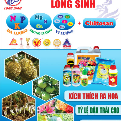 Chitosan1