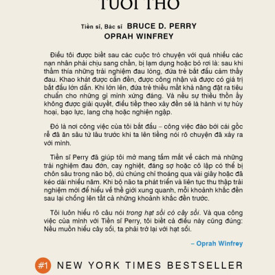Chữa Lành Những Sang Chấn Tuổi Thơ