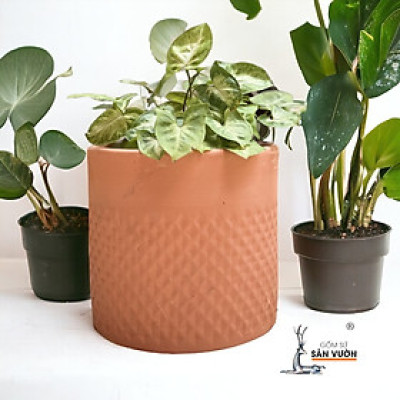 Chậu Gốm Đất Nung Vân Trụ Kim Cương D14cm X H13cm