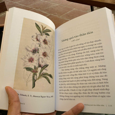 (In màu) CỎ CÂY HOA LÁ – Hường Nguyễn, Như Anh Nguyễn – Nhã Nam – NXB Hội nhà văn