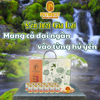 Yến chưng Kids PUTANEST hộp quà tặng cao cấp 12 hũ 70ml tăng đề kháng ăn ngủ ngon bé khỏe mạnh