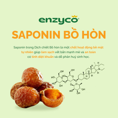 Combo nước rửa bát 465ml và nước giặt sinh học 2L ENZYCO - Chiết xuất Bồ hòn và Enzyme Dứa