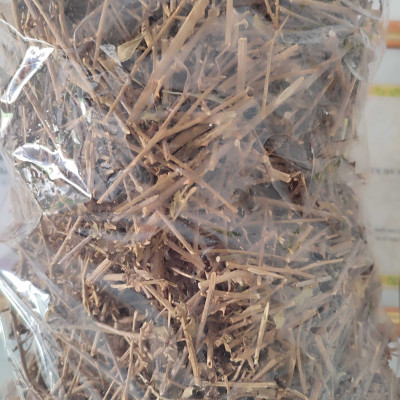 Cà gai leo sao vàng sạch lông sạch bụi