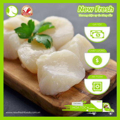 [GIAO NHANH HCM] Cồi Sò Điệp Việt Nam - Túi 500Gr (40-60 Con)