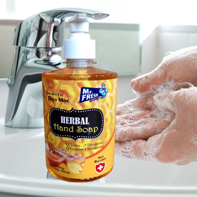 Nước rửa tay Hand Soap Hương Mật ong rừng 500ml/chai