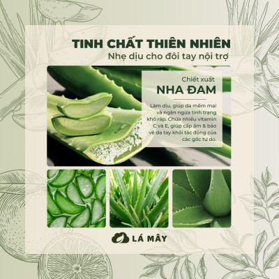 NƯỚC RỬA CHÉN BÁT (KHÔNG ĐẬM ĐẶC) TÍA TÔ & NHA ĐAM LÁ MÂY 500mL