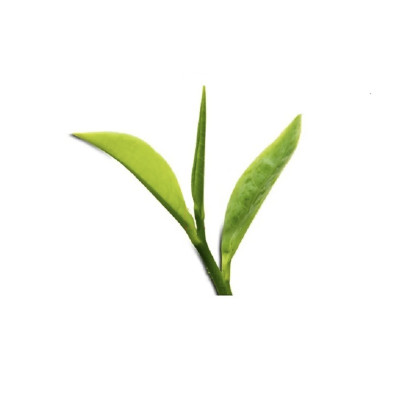 Trà tân cương long đình 100 gram - trà móc câu Tân Cương Xanh