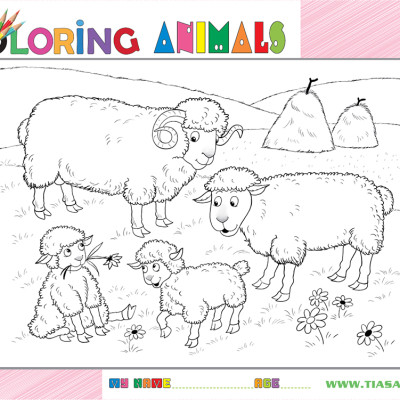 Xếp hình Tia Sáng Đàn cừu  (30 Mảnh Ghép) - Tặng kèm tranh tô màu cho bé