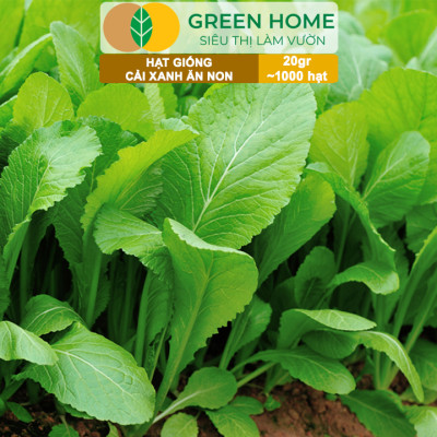 Hạt Giống Rau Cải Ăn Non Greenhome, Gói 20g~1000 hạt, Dễ Trồng Quanh Năm, Nảy Mầm Cao, Thu Hoạch Nhanh, Năng Suất Cao R05