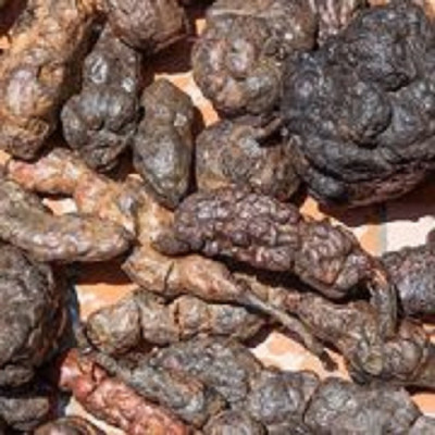 HÀ THỦ Ô ĐỎ VIÊN MÈ ĐEN VÀ MẬT ONG RỪNG MẸ KEN