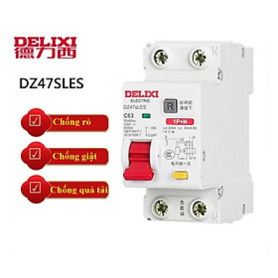CB,Aptomat chống rò chống giật,Chống quá tải 2 pha 20A,32A và 63A RCBO Delixi