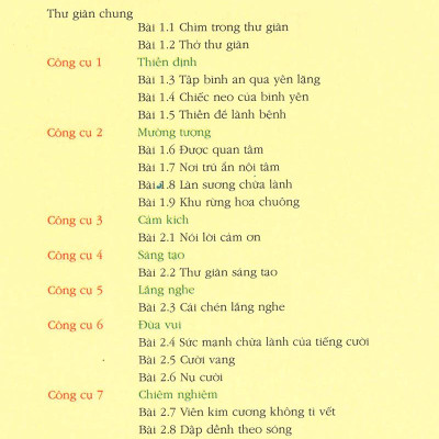 Tìm Lại Sức Mạnh Tinh Thần (Tái Bản)