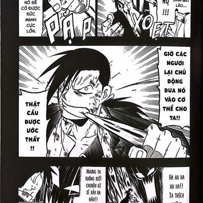 Fullmetal Alchemist - Cang giả kim thuật sư - Fullmetal Edition - Tập 10