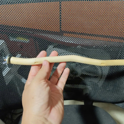 1 CÂY ĐẬU LŨA DÙNG CHO CÁC DÒNG CHIM, VẸT ĐẬU NHƯ COCKATEIL, LB, YẾN PHỤNG, YẾN HÓT, CHIM SẺ, MANH MANH, SẮC NHẬT