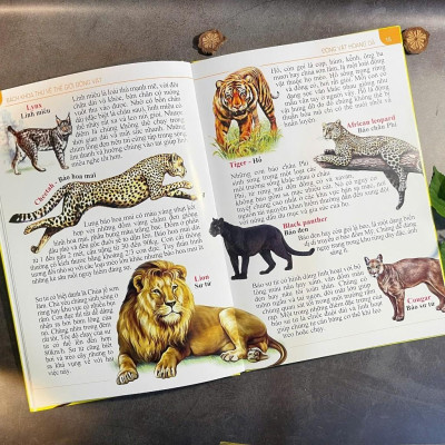 Sách - Combo 2 quyển Từ Điển Anh - Việt - My First 1000 Words + Bách khoa thư về thế giới động vật ( Bìa Cứng) (VT-MK)