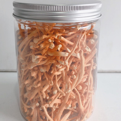 Đông trùng hạ thảo sấy thăng hoa - Hủ 10g