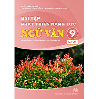 PB2 Bài tập phát triển năng lực Ngữ văn lớp 9 (tập 1)