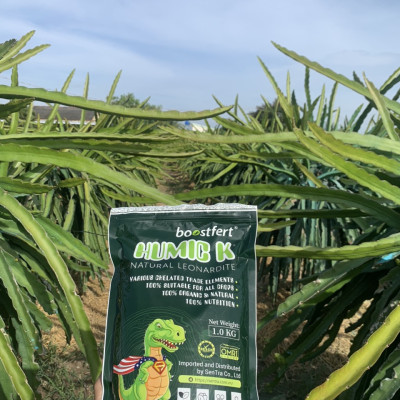 Humic K Humic Khủng Long nhập khẩu (Túi 1kg)