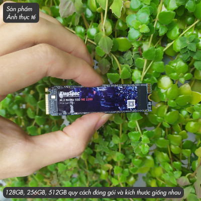 Ổ cứng SSD KingSpec 512GB , M2 PCIe NVMe / NE 512G - Hàng Chính Hãng