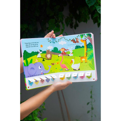 Sách - Lift The Flap - Lật Mở Khám Phá - So Sánh - Đinh Tị Books