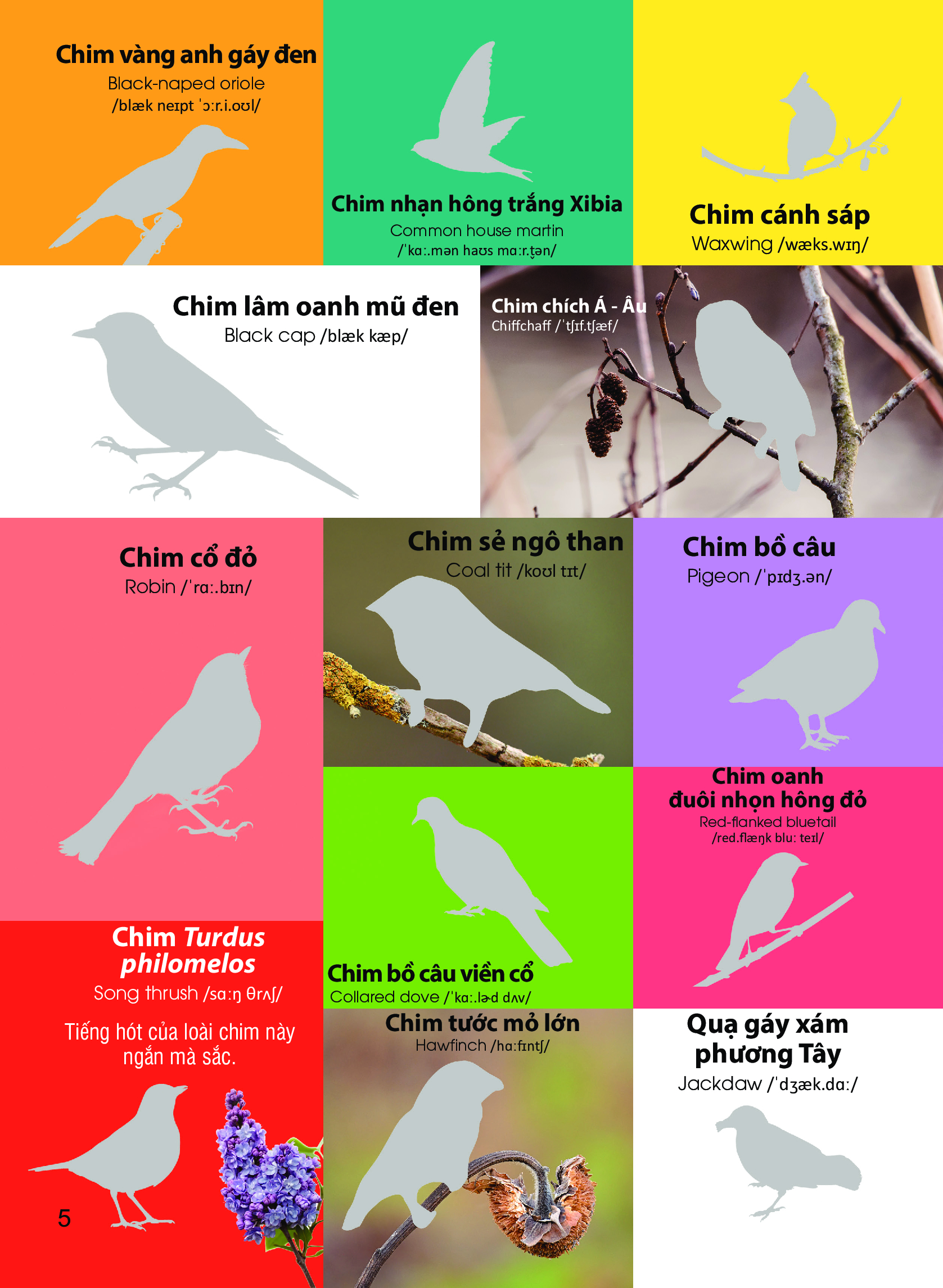 Dán Hình Nhận Biết Động Vật - Chim Và Côn Trùng (Song Ngữ Việt-Anh)