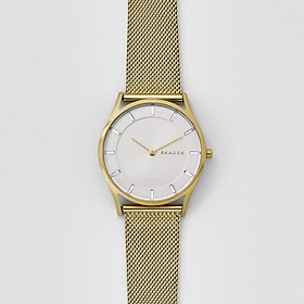 Đồng hồ nữ SKAGEN HOLST SKW2377