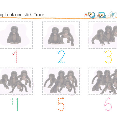 Learn With Ollie 3 Student