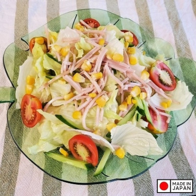 Đĩa nhựa pha lê hình chiếc lá Yamada Monstera - Hàng Nội Địa Nhật Bản