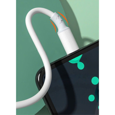 Dây sạc LI-TOP LX72 Công suất 100W chân Type C, Kim Ánh cho dùng thử 30 ngày, Kim Ánh bảo Hàng chính hãng 12 tháng