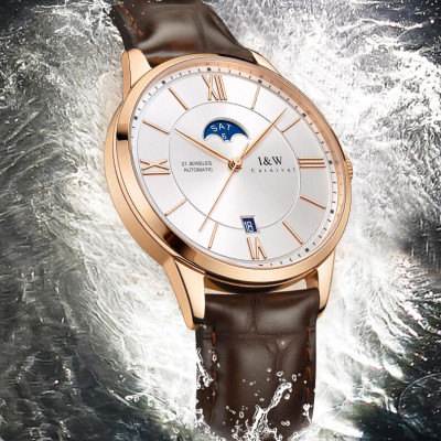 Đồng hồ nam chính hãng IW CARNIVAL IW528G-1 Kính sapphire ,chống xước,Chống nước 30m ,Bảo hành 24 tháng,Máy cơ (Automatic),Dây da cao cấp