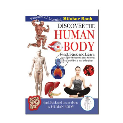 Wol Model Set - Human Body