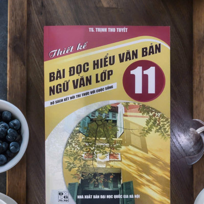 Sách - Thiết Kế Bài Đọc Hiểu Văn Bản Ngữ Văn Lớp 11 ( Kết Nối)
