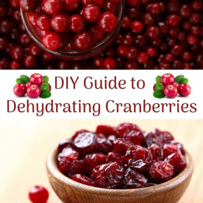 COMBO 2 Hộp Nam Việt Quất khô – Cranberry 350gr dan.d.pak,,không chất bảo quản,giải độc tố trong cơ thể,làm đẹp da,là liều thuốc hữu hiệu để hạn chế nguy cơ bị ung thư, đột quỵ, nhiễm virus, bệnh tim mạch