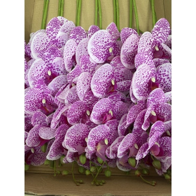 Cành lan hồ điệp giả cao cấp - 1 cành - 9 bông - dài 100cm - Cây giả, hoa lụa Decor trang trí nhà cửa