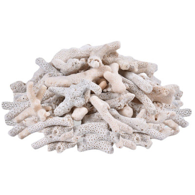 2KG San Hô Vụn vật liệu lọc hồ cá, trang trí bể cá, hồ thủy sinh cao cấp