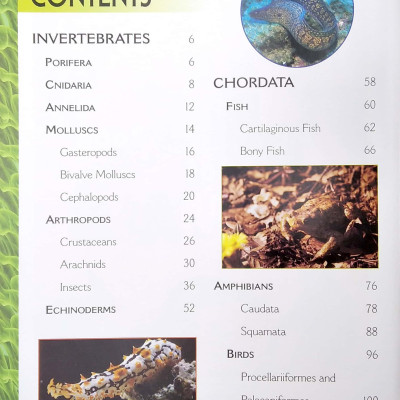 The Big book of Animals